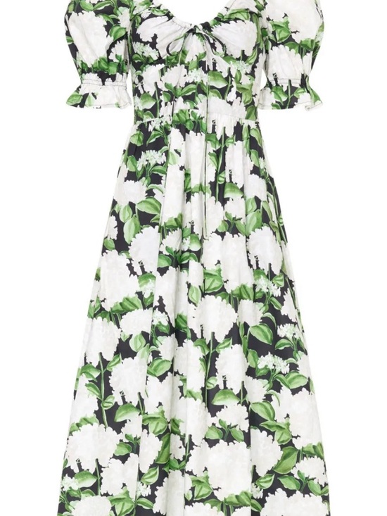 Hill House Dresses & Skirts - Hill House Night bloom Ophelia dress